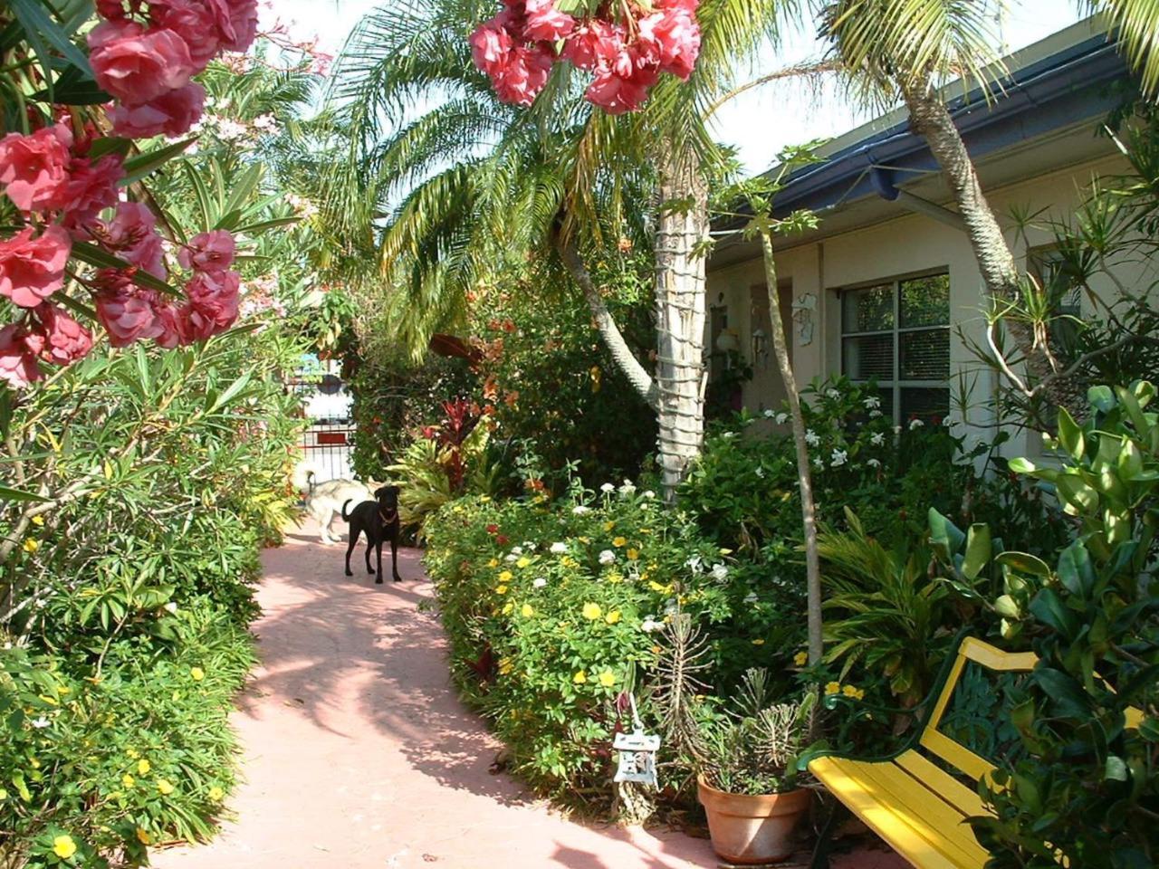 Affordable Beach Condos - One Bedroom Dlx Condos St. Pete Beach Eksteriør bilde