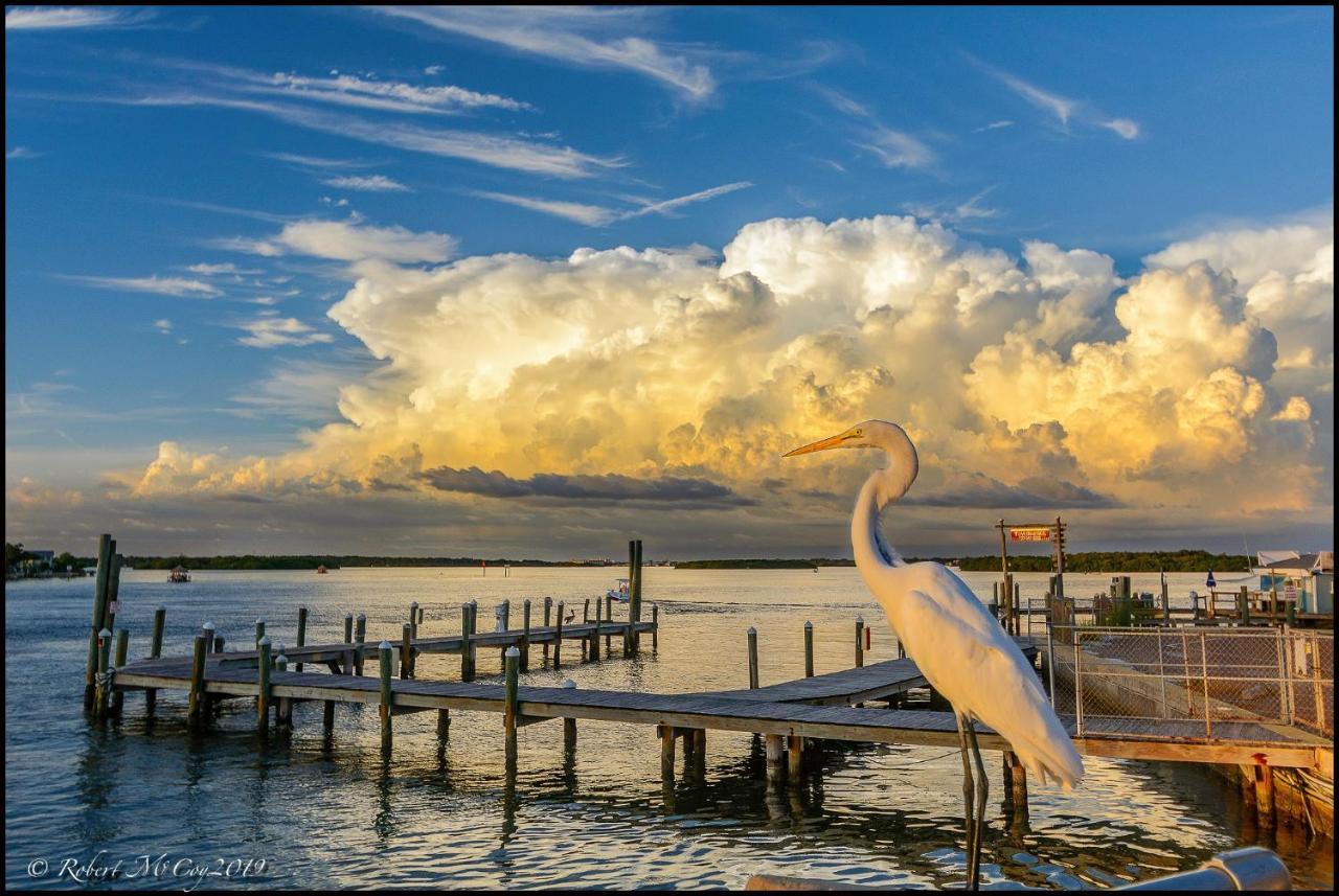 Affordable Beach Condos - One Bedroom Dlx Condos St. Pete Beach Eksteriør bilde
